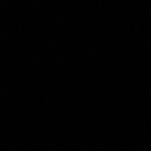 Meet your Posher, Joey